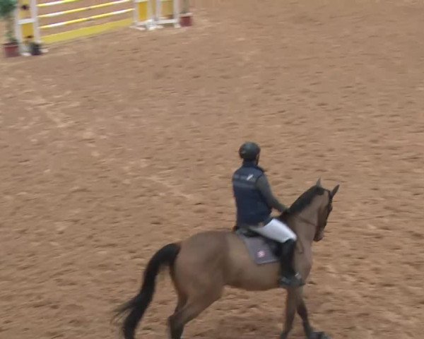 Reitturnier Kreuth 2017