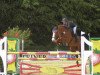 jumper Gonna Fly Now (KWPN (Royal Dutch Sporthorse), 2011, from Spartacus TN)