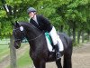 dressage horse Romantic Moment (Westphalian, 2013, from Glock's Romanov)