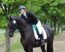 dressage horse Romantic Moment (Westphalian, 2013, from Glock's Romanov)