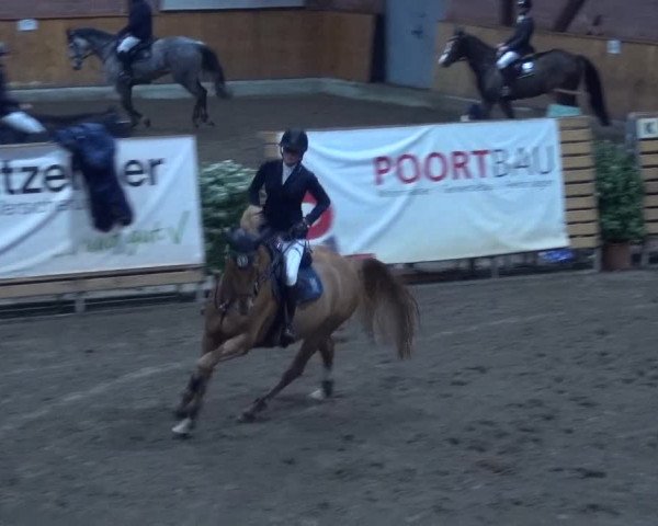 Reitturnier Hamburg-Friedrichshulde 2017