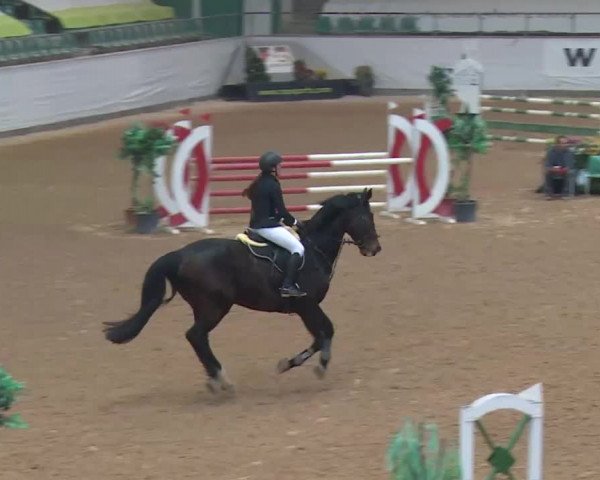 Reitturnier Kreuth 2017