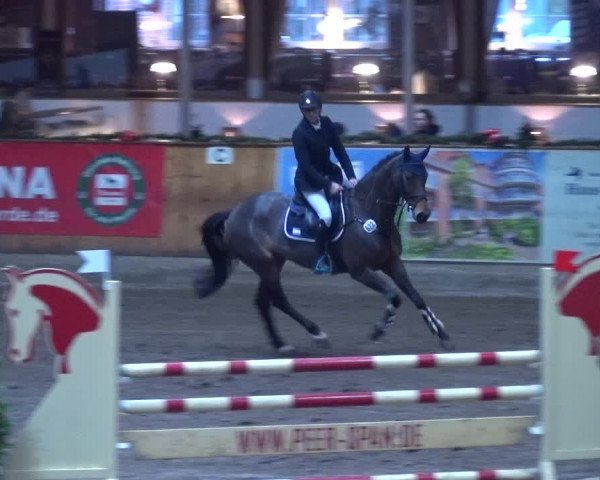 Reitturnier Hamburg-Friedrichshulde 2017