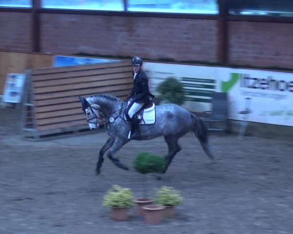 Reitturnier Hamburg-Friedrichshulde 2017
