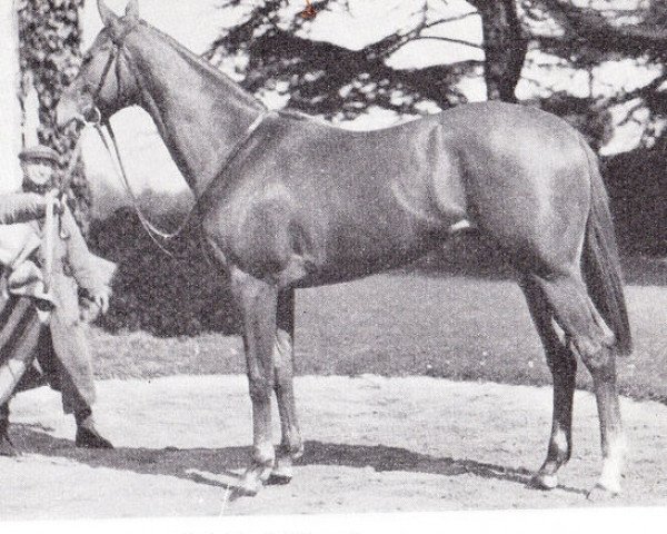 broodmare Texana xx (Thoroughbred, 1955, from Relic xx)