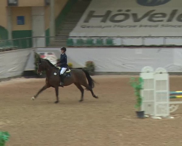 Reitturnier Kreuth 2017