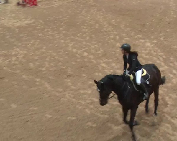 Reitturnier Kreuth 2017