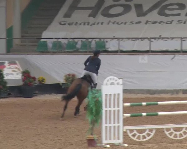 Reitturnier Kreuth 2017