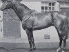 stallion Paveh xx (Thoroughbred, 1963, from Tropique xx)