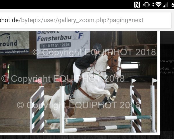 jumper Idefix 223 (Oldenburg show jumper, 2008)