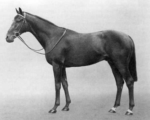 stallion Rhodes Scholar xx (Thoroughbred, 1933, from Pharos xx)