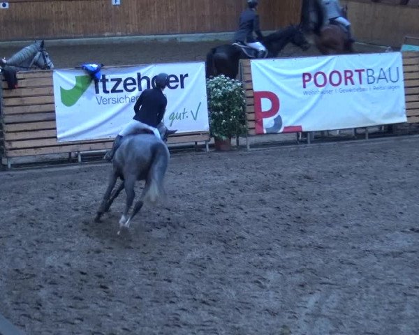 Reitturnier Hamburg-Friedrichshulde 2017