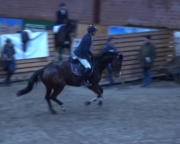 Reitturnier Hamburg-Friedrichshulde 2017