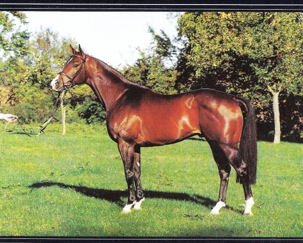 stallion Last Trump xx (Thoroughbred, 1982, from Tromos xx)