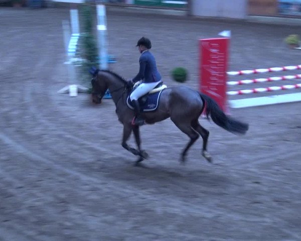 Reitturnier Hamburg-Friedrichshulde 2017