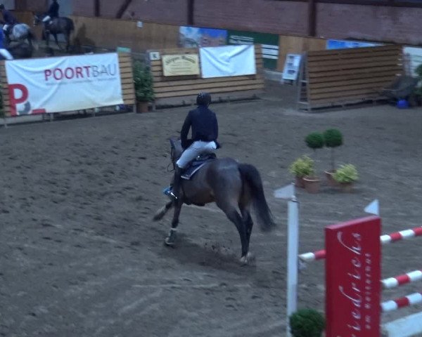 Reitturnier Hamburg-Friedrichshulde 2017