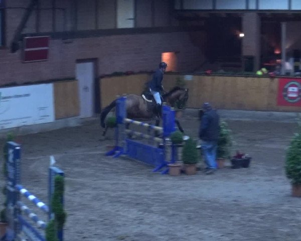 Reitturnier Hamburg-Friedrichshulde 2017