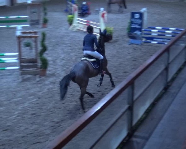 Reitturnier Hamburg-Friedrichshulde 2017