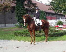 broodmare La Rouge M (Hanoverian, 2009, from Lizitant)