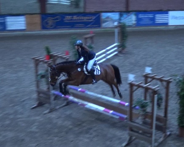 Reitturnier Hamburg-Friedrichshulde 2017