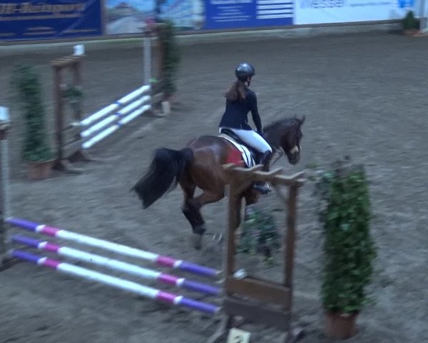 Reitturnier Hamburg-Friedrichshulde 2017