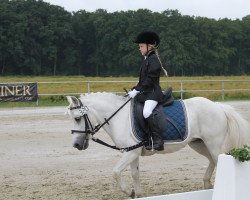 dressage horse Mrs. Blue (unknown, 1987)