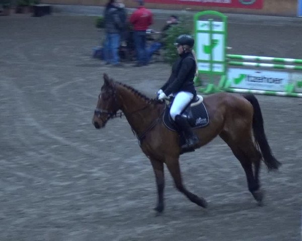 Reitturnier Hamburg-Friedrichshulde 2017