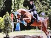 broodmare Ribana 170 (German Riding Pony, 2003, from Brillant)