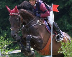 Springpferd Okonos de la Blancherie CH (Schweizer Warmblut, 2002, von Mykonos xx)