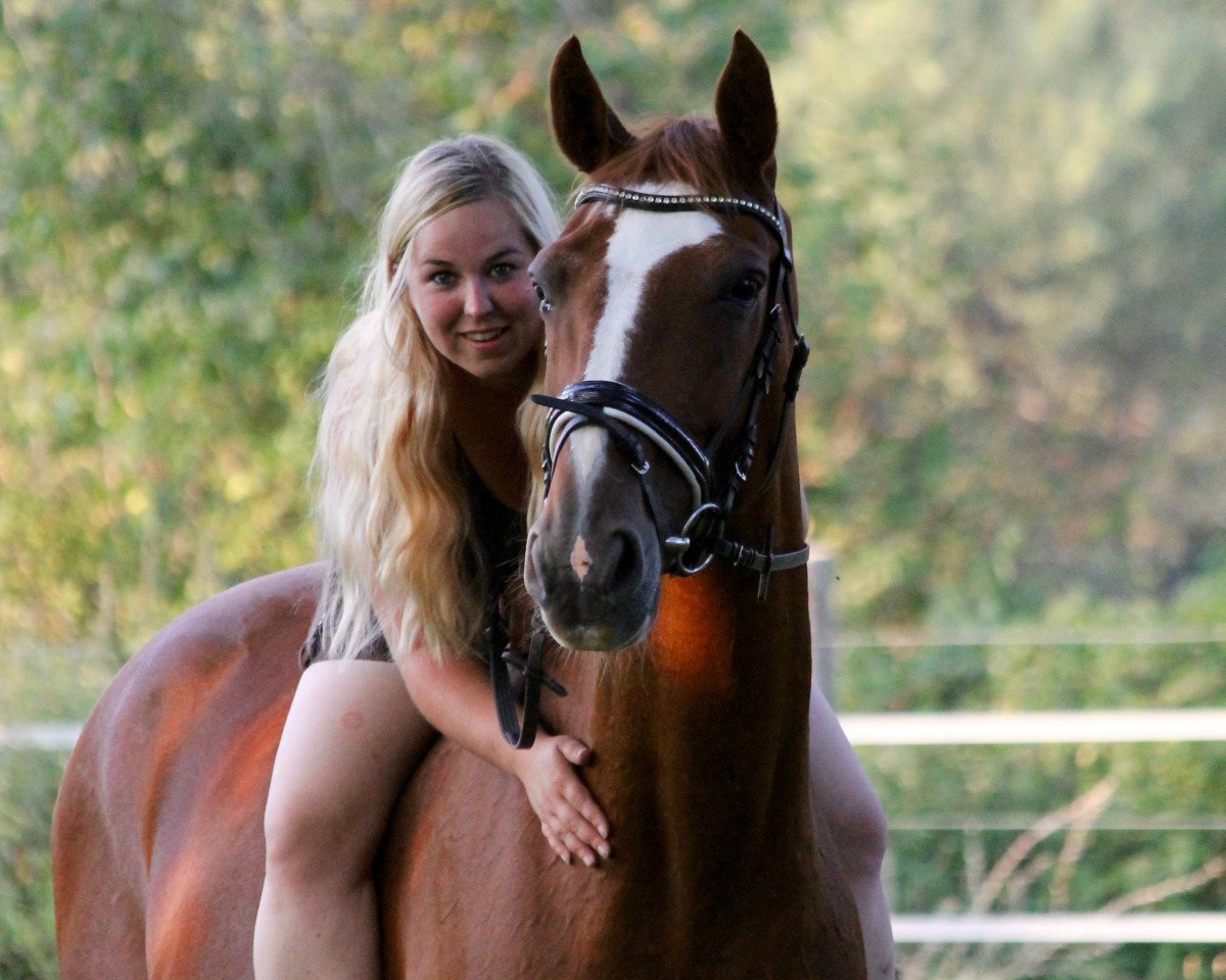 horse Esprie (Oldenburg, 1998, from Enanco S)