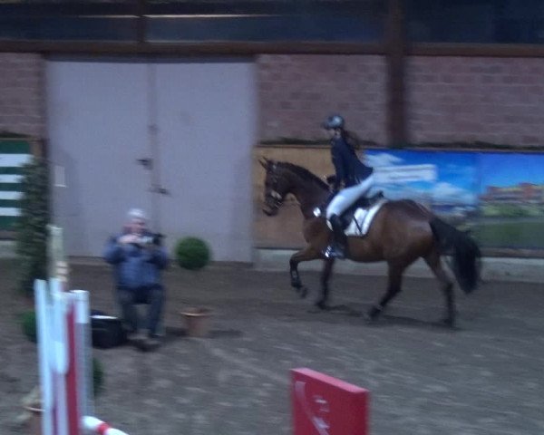 Reitturnier Hamburg-Friedrichshulde 2017