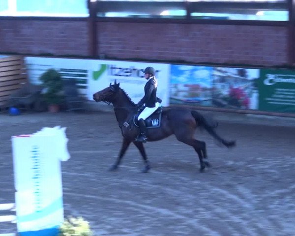 Reitturnier Hamburg-Friedrichshulde 2017