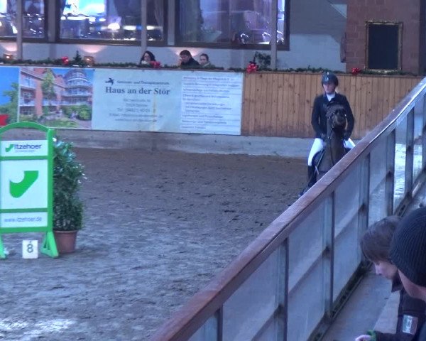 Reitturnier Hamburg-Friedrichshulde 2017