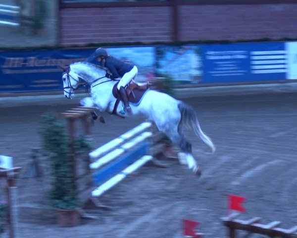 Reitturnier Hamburg-Friedrichshulde 2017