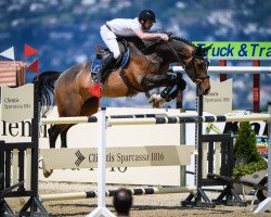 jumper Ailonka (KWPN (Royal Dutch Sporthorse), 2005, from Tampa)