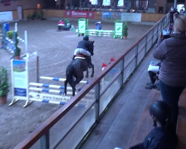 Reitturnier Hamburg-Friedrichshulde 2017