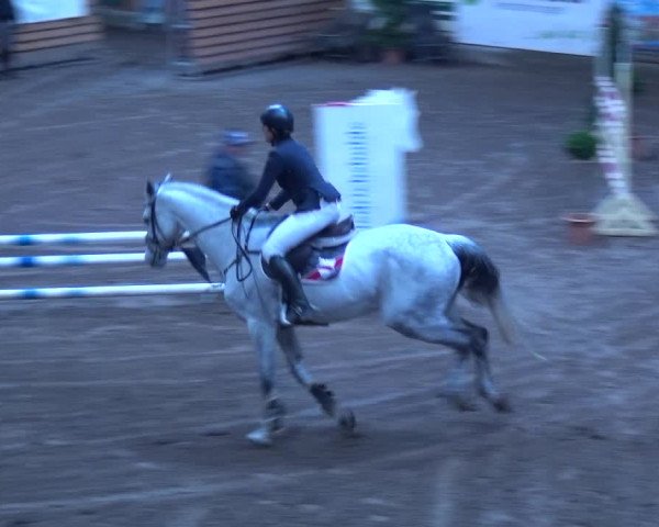 Reitturnier Hamburg-Friedrichshulde 2017