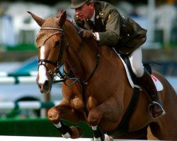 horse Millstreet Ruby (Irish Sport Horse, 1984, from King of Diamonds)