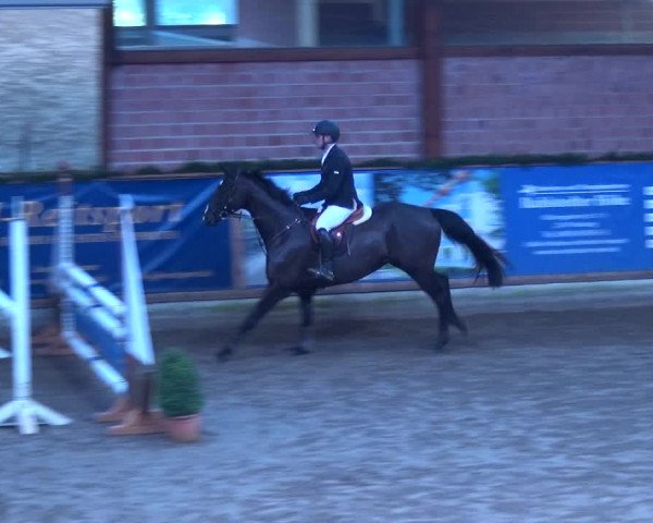 Reitturnier Hamburg-Friedrichshulde 2017