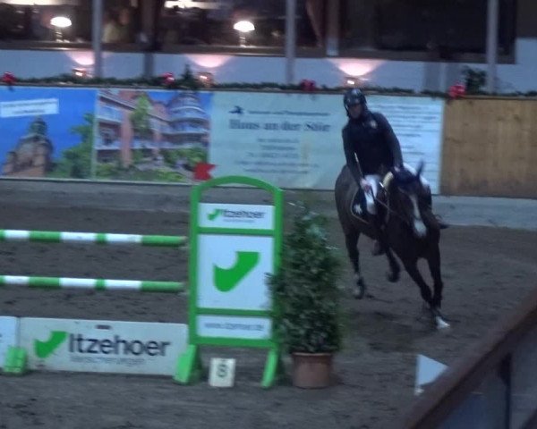 Reitturnier Hamburg-Friedrichshulde 2017