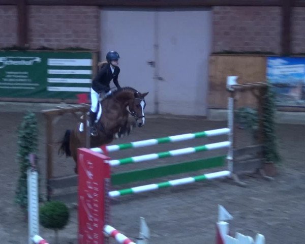 Reitturnier Hamburg-Friedrichshulde 2017
