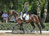 stallion Bystro (Trakehner, 2011, from All Inclusive)