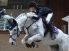 jumper Freaky Friday 4 (Trakehner, 2005, from Peking Opera xx)