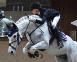 Springpferd Freaky Friday 4 (Trakehner, 2005, von Peking Opera xx)