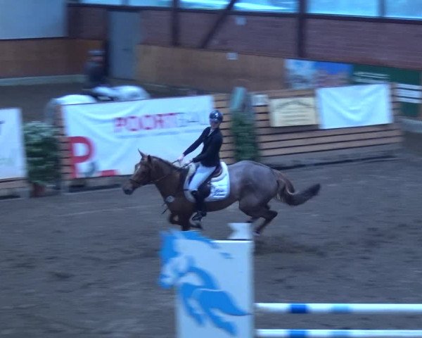 Reitturnier Hamburg-Friedrichshulde 2017