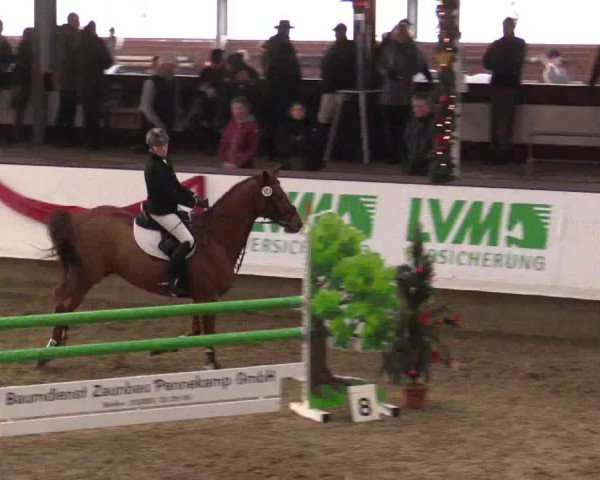 Reitturnier Alt Marl 2017