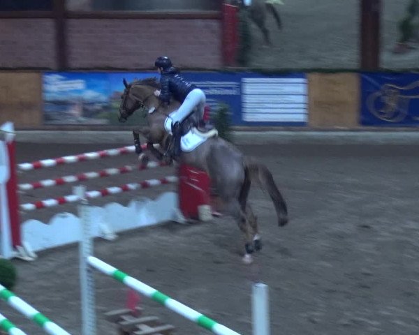 Reitturnier Hamburg-Friedrichshulde 2017