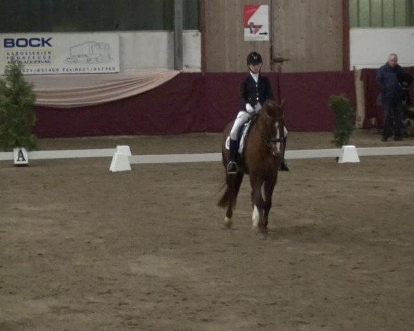 Reitturnier Eppelheim 2018