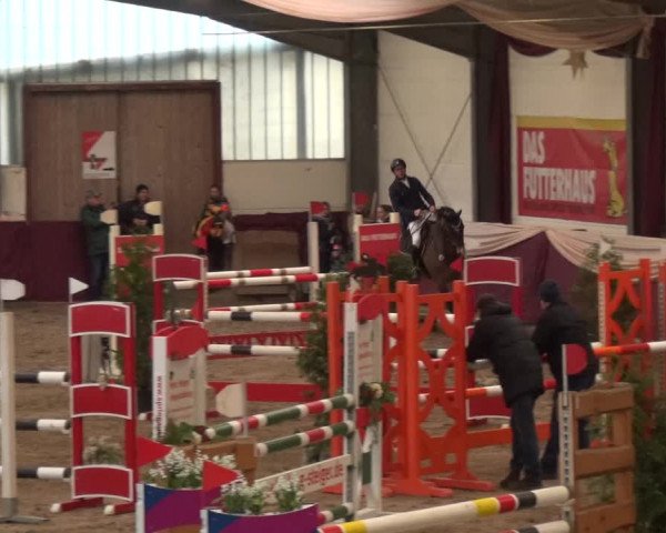 Reitturnier Eppelheim 2018
