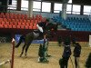 jumper Perpino (Hanoverian, 2001, from Perpignon)